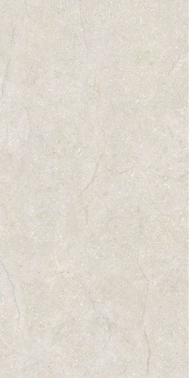 Stone Life Cotton Matte 24 x 48